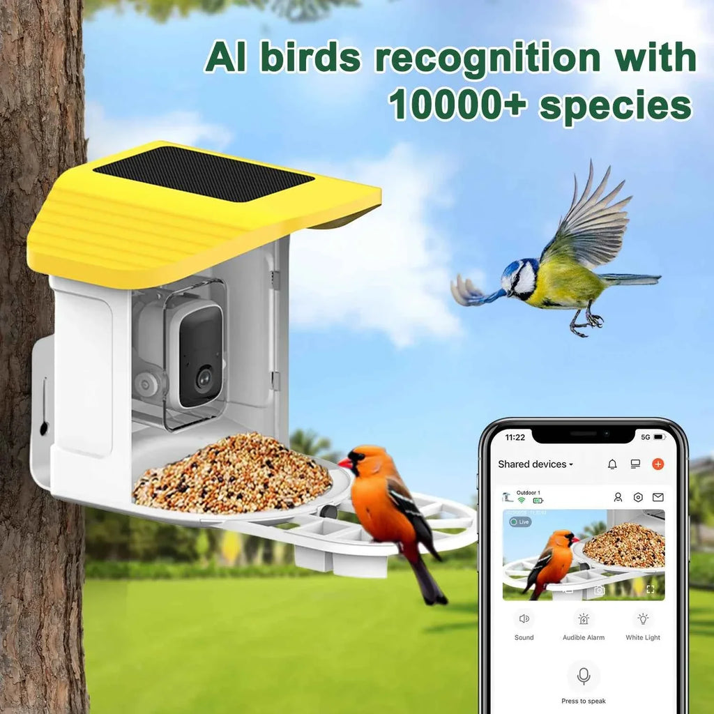 Bird Feeder AI Identify For 10000 Plus Birds Species Automatic Pet Feeder With Camera Real-time Monitor Bird Feeder With Camera