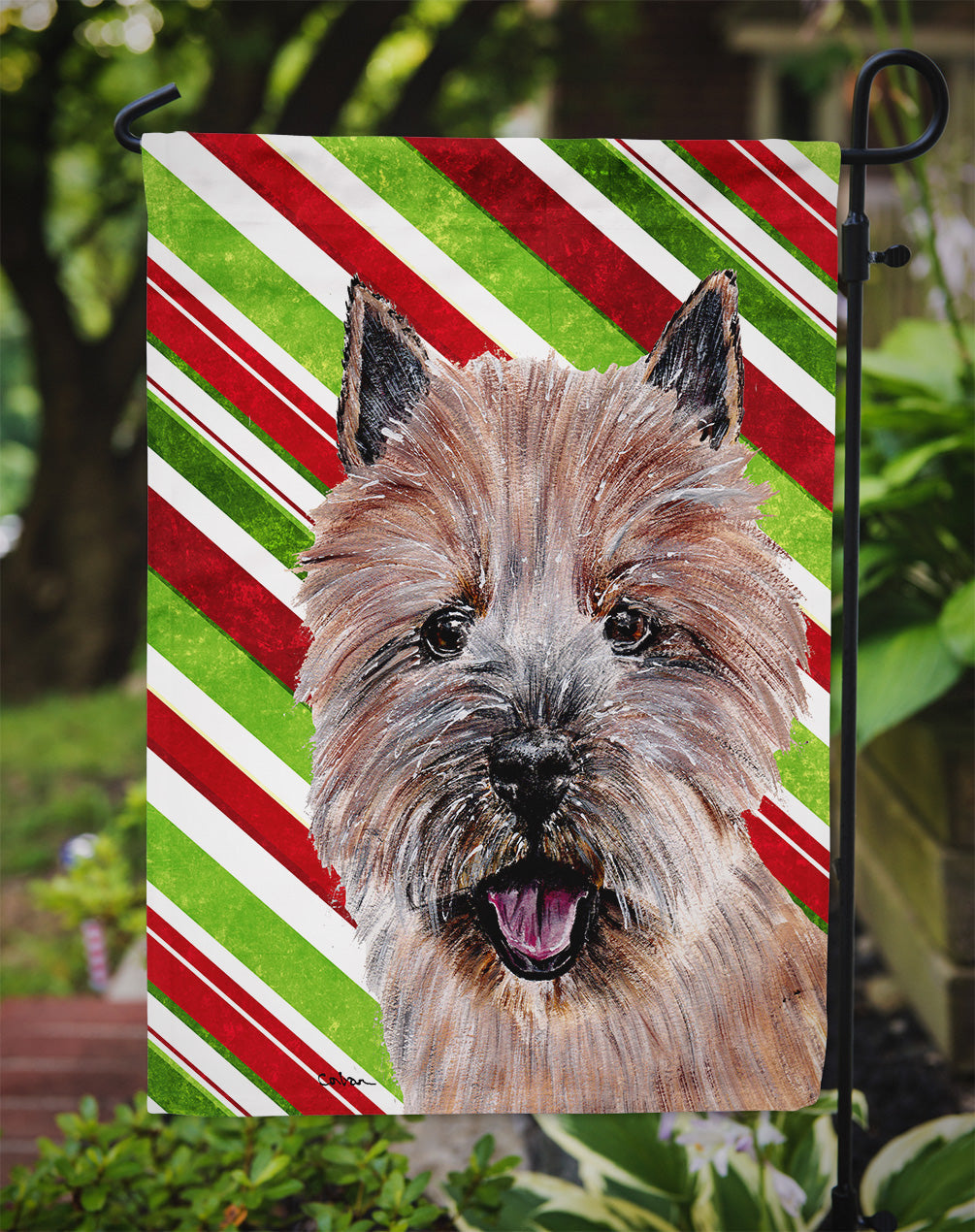 Norwich Terrier Candy Cane Christmas Garden Flag Mailbox Decorative Yard Banner Outside Patio Artwork for Flower Beds, Garden Size, Multicolor