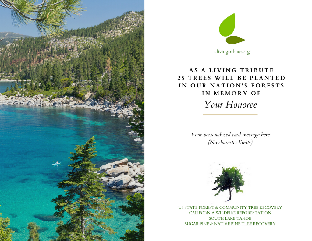 Plant a Tree for Someone & Restore a Community - A Living Tribute