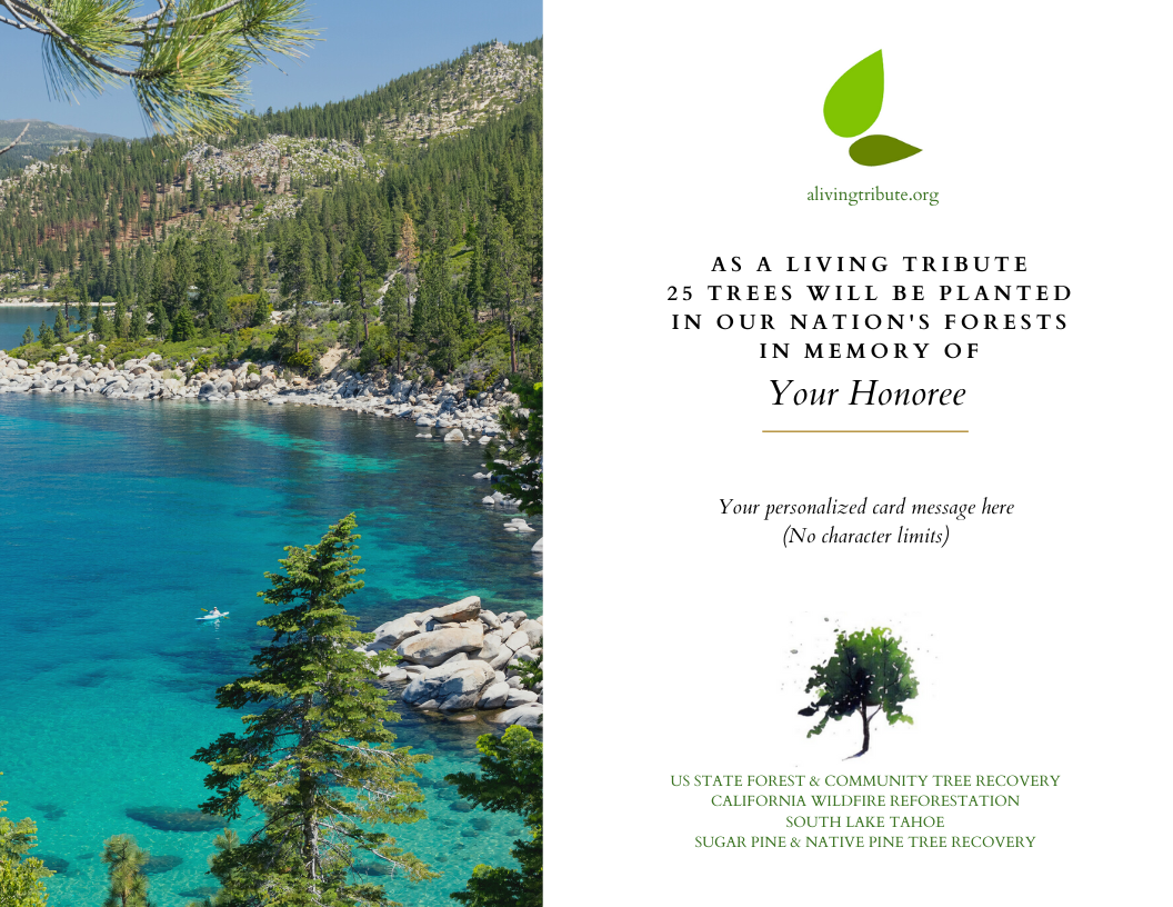 Plant a Tree for Someone & Restore a Community - A Living Tribute