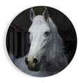White Horse Portrait Circle Glass Wall Art
