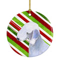 Bedlington Terrier Candy Cane Holiday Christmas Ceramic Ornament Christmas Tree Hanging Decorations for Home Christmas Holiday, Party, Gift, 3 in, Multicolor