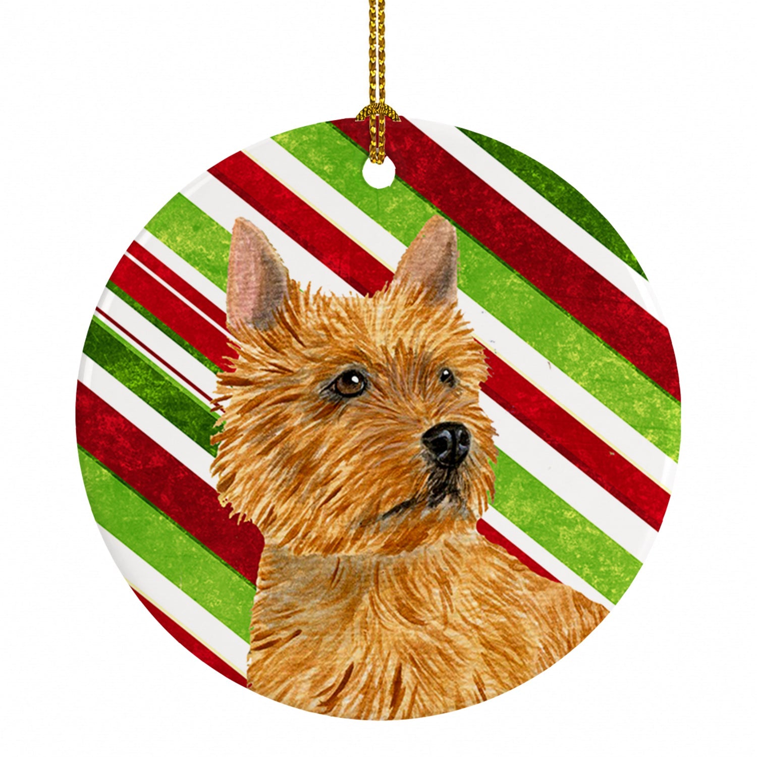 Norwich Terrier Candy Cane Holiday Christmas Ceramic Ornament Christmas Tree Hanging Decorations for Home Christmas Holiday, Party, Gift, 3 in, Multicolor