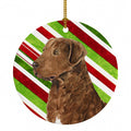 Chesapeake Bay Retriever Candy Cane Holiday Christmas Ceramic Ornament Christmas Tree Hanging Decorations for Home Christmas Holiday, Party, Gift, 3 in, Multicolor