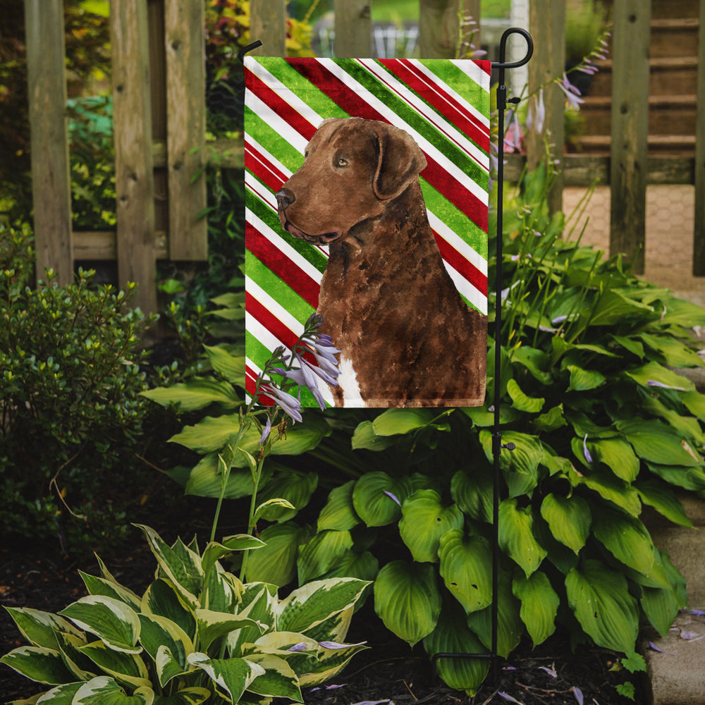Chesapeake Bay Retriever Candy Cane Holiday Christmas Garden Flag Mailbox Decorative Yard Banner Outside Patio Artwork for Flower Beds, Garden Size, Multicolor