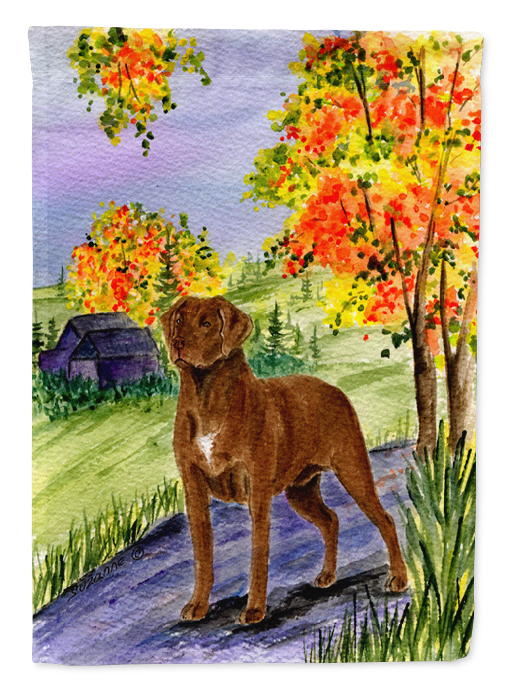 Chesapeake Bay Retriever Garden Flag Mailbox Decorative Yard Banner Outside Patio Artwork for Flower Beds, Garden Size, Multicolor