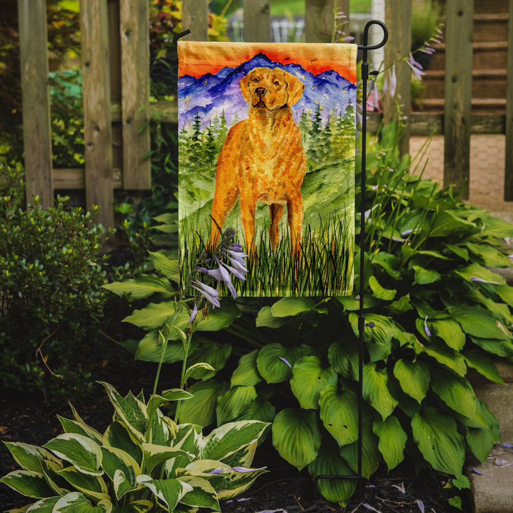 Chesapeake Bay Retriever Garden Flag Mailbox Decorative Yard Banner Outside Patio Artwork for Flower Beds, Garden Size, Multicolor