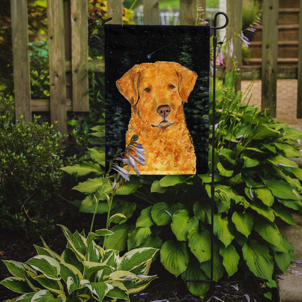Starry Night Chesapeake Bay Retriever Garden Flag Mailbox Decorative Yard Banner Outside Patio Artwork for Flower Beds, Garden Size, Multicolor