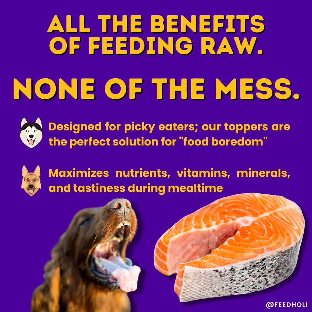 Wild Caught Salmon Dog Food Topper - Freeze Dried - Single Ingredient