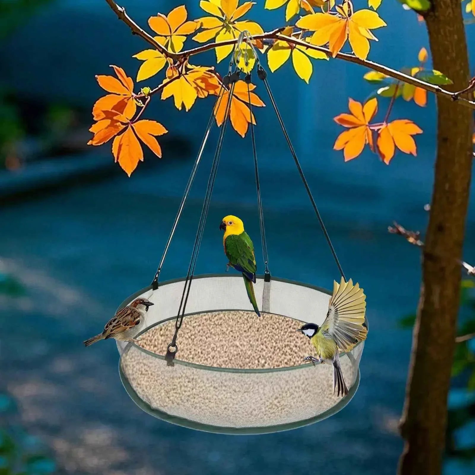 Bird Feeder Tray Attracting Birds Birds Food Catcher Hummingbird Feeder with Hanging Chain for Balcony Backyard Garden Yard