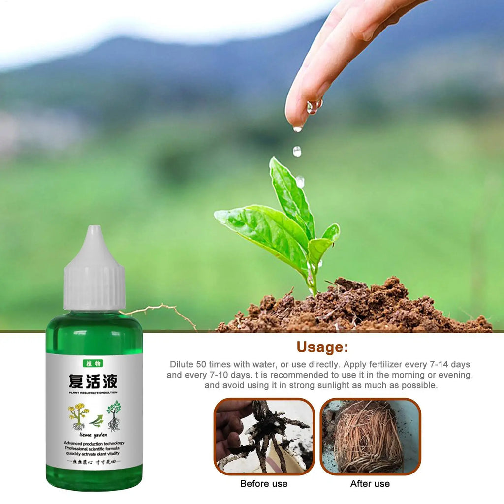 Flower Fruit Plant Nutrient Solution 50ml Outdoor Soil Growing Plant Food Promotes Healthy & Strong Growth For Gardenia Orchid