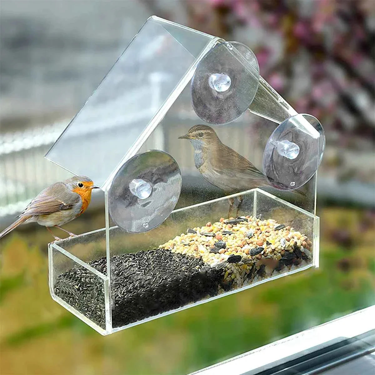 Bird Feeder Foot Feeding Tool Outdoor Bird Feeder Hanging Nut Feeding Multiple Hole Dispenser Holder Food Container