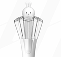 Wonho Official Lightstick Accessory