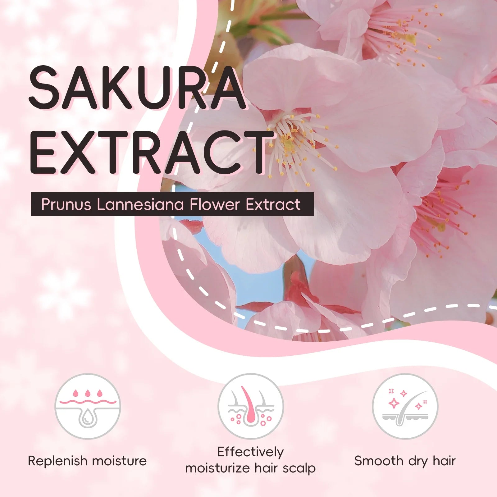 LAIKOU Japan Sakura Shampoo Repair Anti Split Ends Smooth Frizz Dry Hair