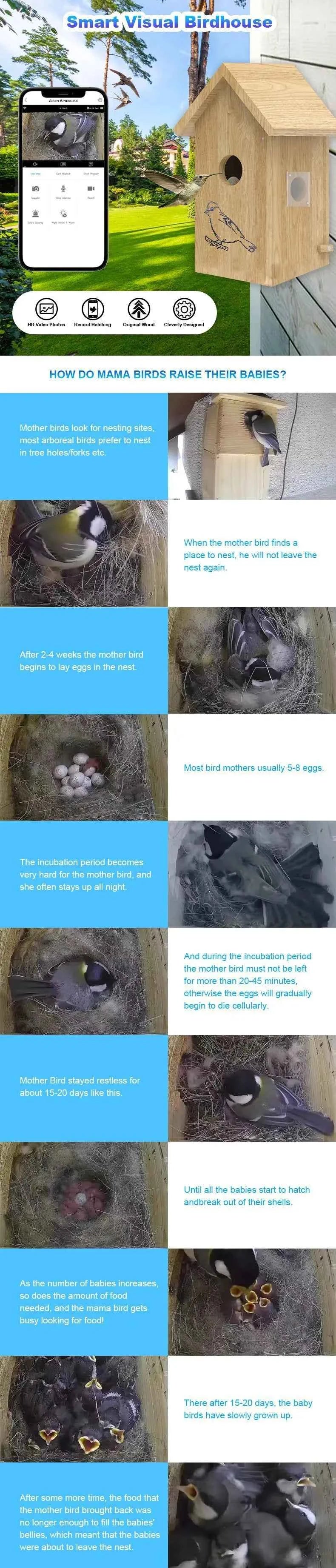 Wooden Birdhouse for Outdoor Bird Nests House for Parrots and Swallows Custom Wifi Smart Wooden Bird House Bird Cage With Camera