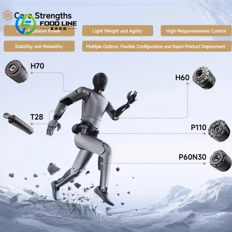 Customized Versatile Humanoid Robot with Dexterous Hands for Complex Manipulation and Industrial Automation Tasks