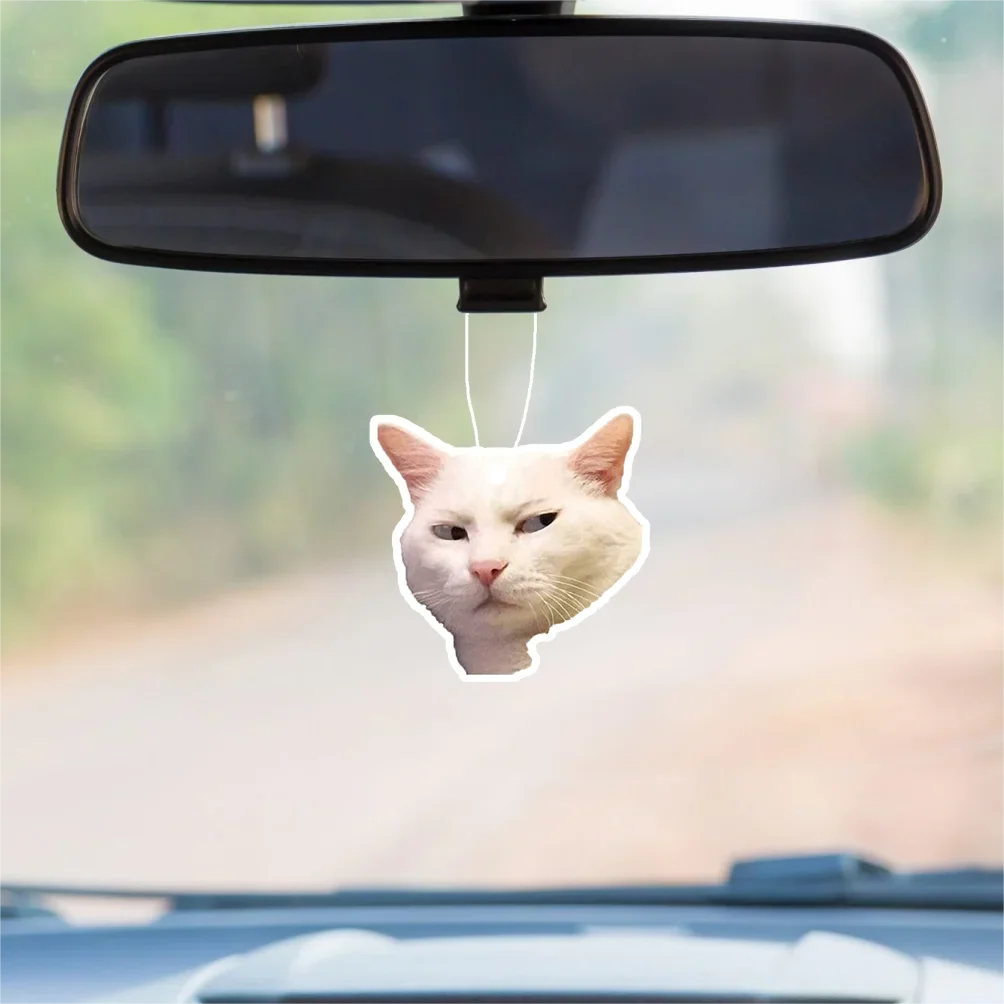 1pc Funny Cat Design Car Aromatherapy Tablet, Car Fragrance Tablet, Car Rearview Mirror Pendant, Wardrobe Aromatherapy Tablet