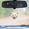 1pc Funny Cat Design Car Aromatherapy Tablet, Car Fragrance Tablet, Car Rearview Mirror Pendant, Wardrobe Aromatherapy Tablet