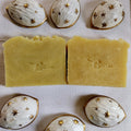 Gentle Cleansing Cranberry Bar