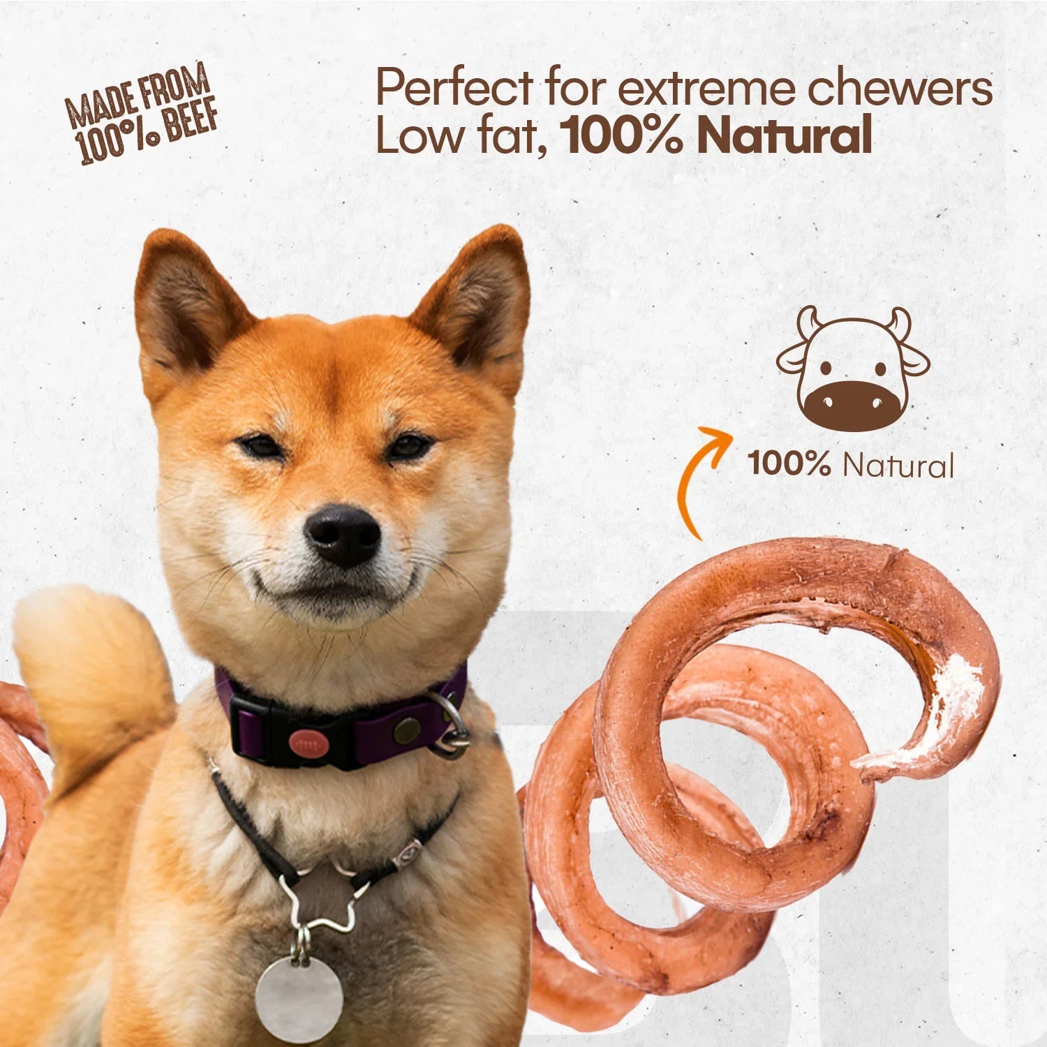 🦴🐄 Bully Spring Chews – 6–8" Natural Low-Odor Beef Pizzle Dog Chews