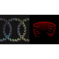 Tool - Undertow & Lateralus (2LP/Picture Disc/4 Different Images/Holographic Gatefold)