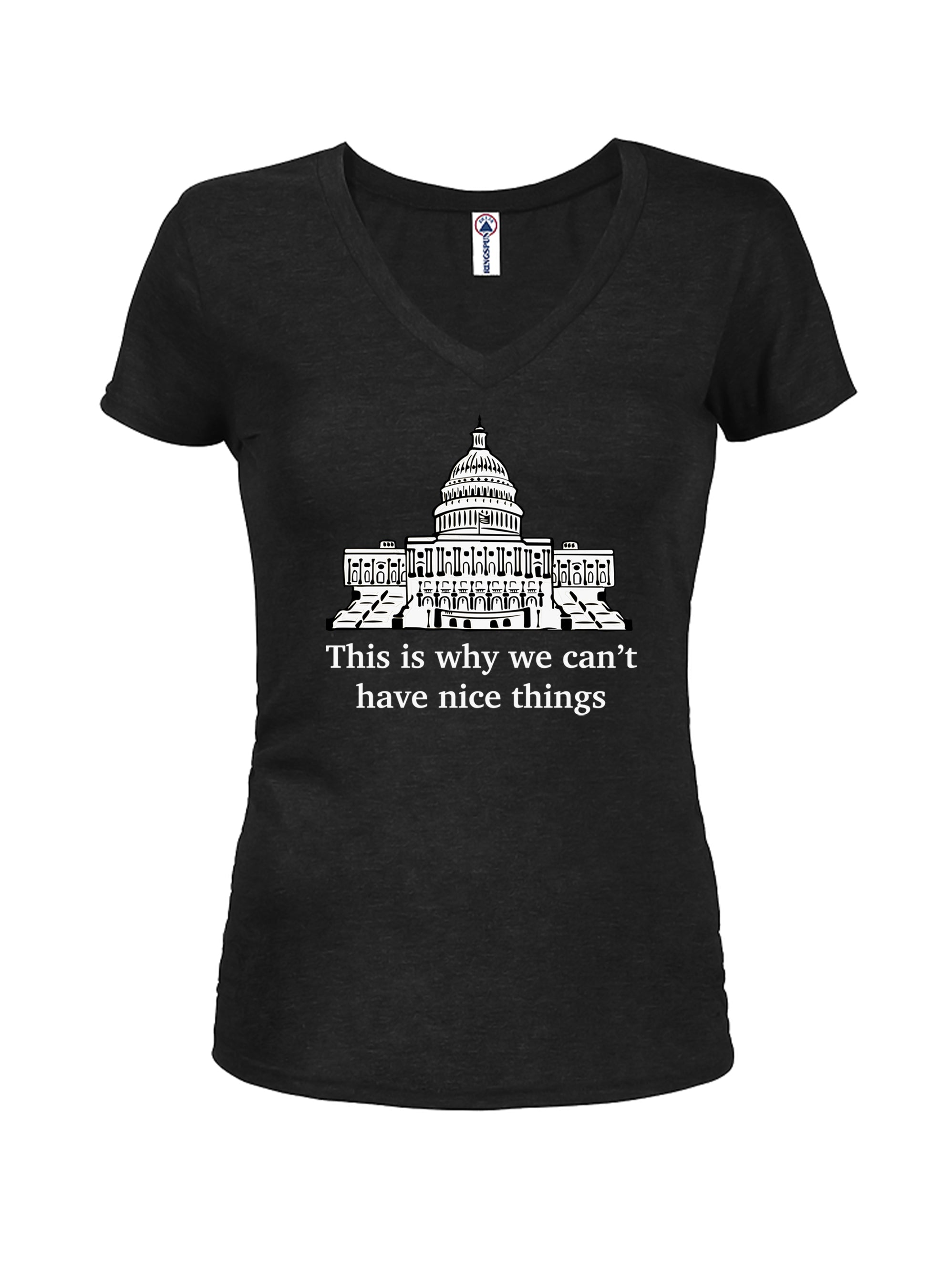 This is why we can’t have nice things T-Shirt