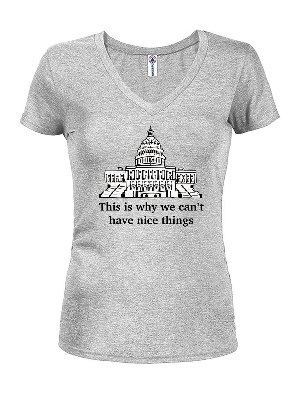 This is why we can’t have nice things T-Shirt