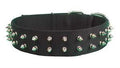 18'' PET COLLAR -  BLACK - SPIKE