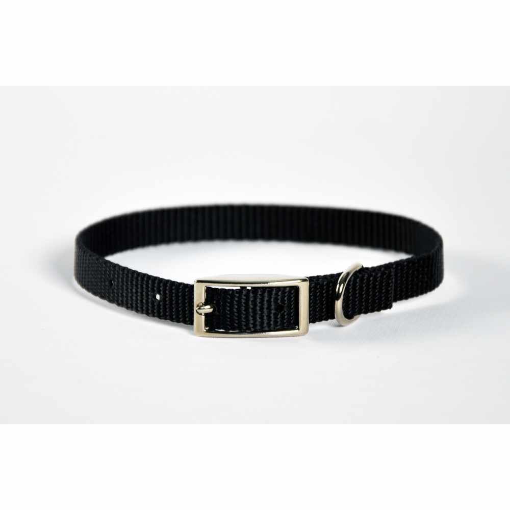 Dog Collar Skinny - 12" Turquoise