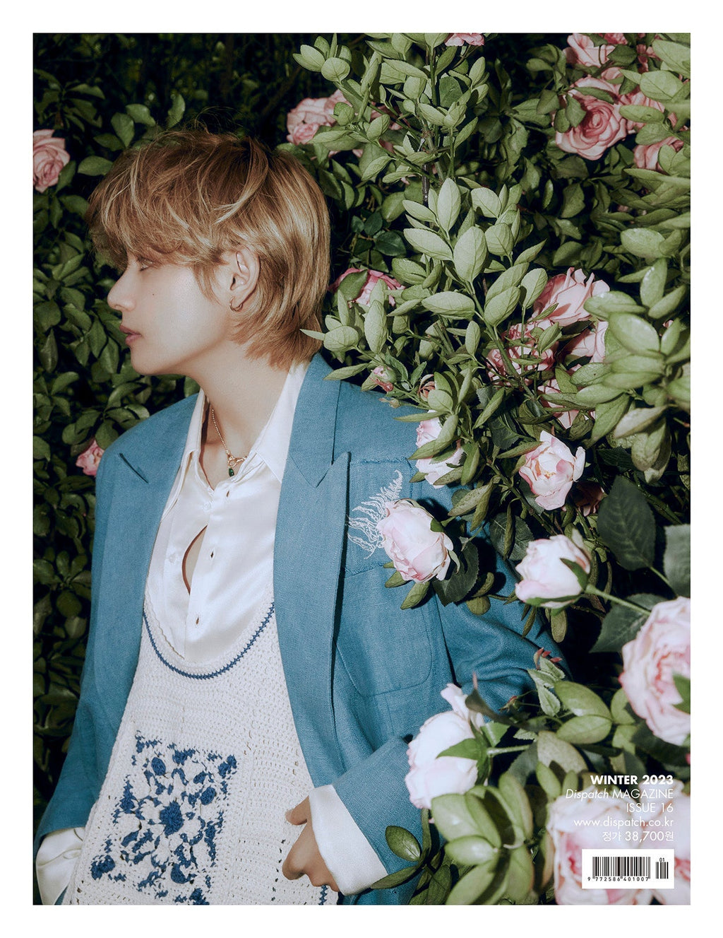 BTS V - Dicon Issue NÂ°16 V : Vicon