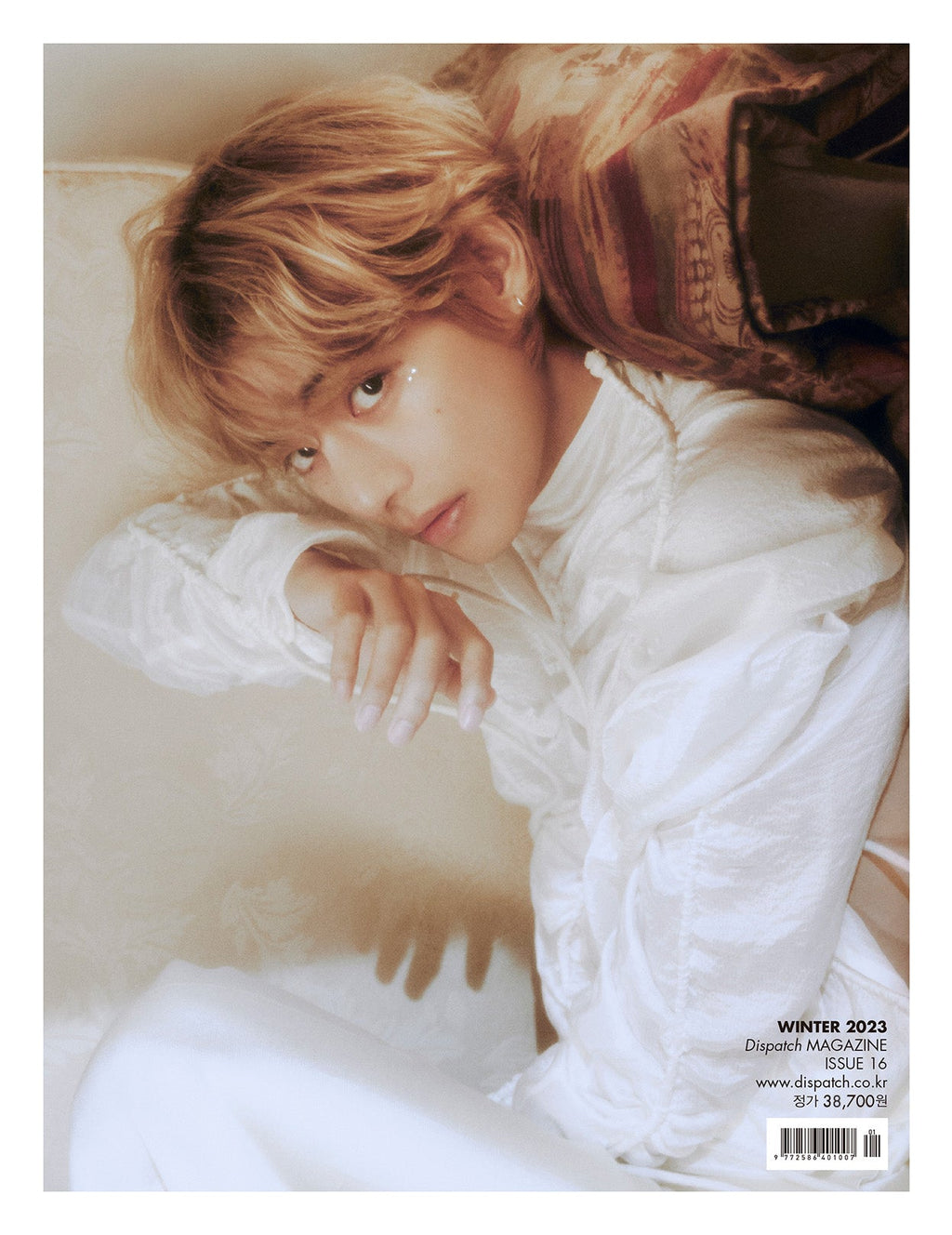 BTS V - Dicon Issue NÂ°16 V : Vicon