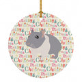 South African Hamster Christmas Ceramic Ornament Christmas Tree Hanging Decorations for Home Christmas Holiday, Party, Gift, 3 in, Multicolor