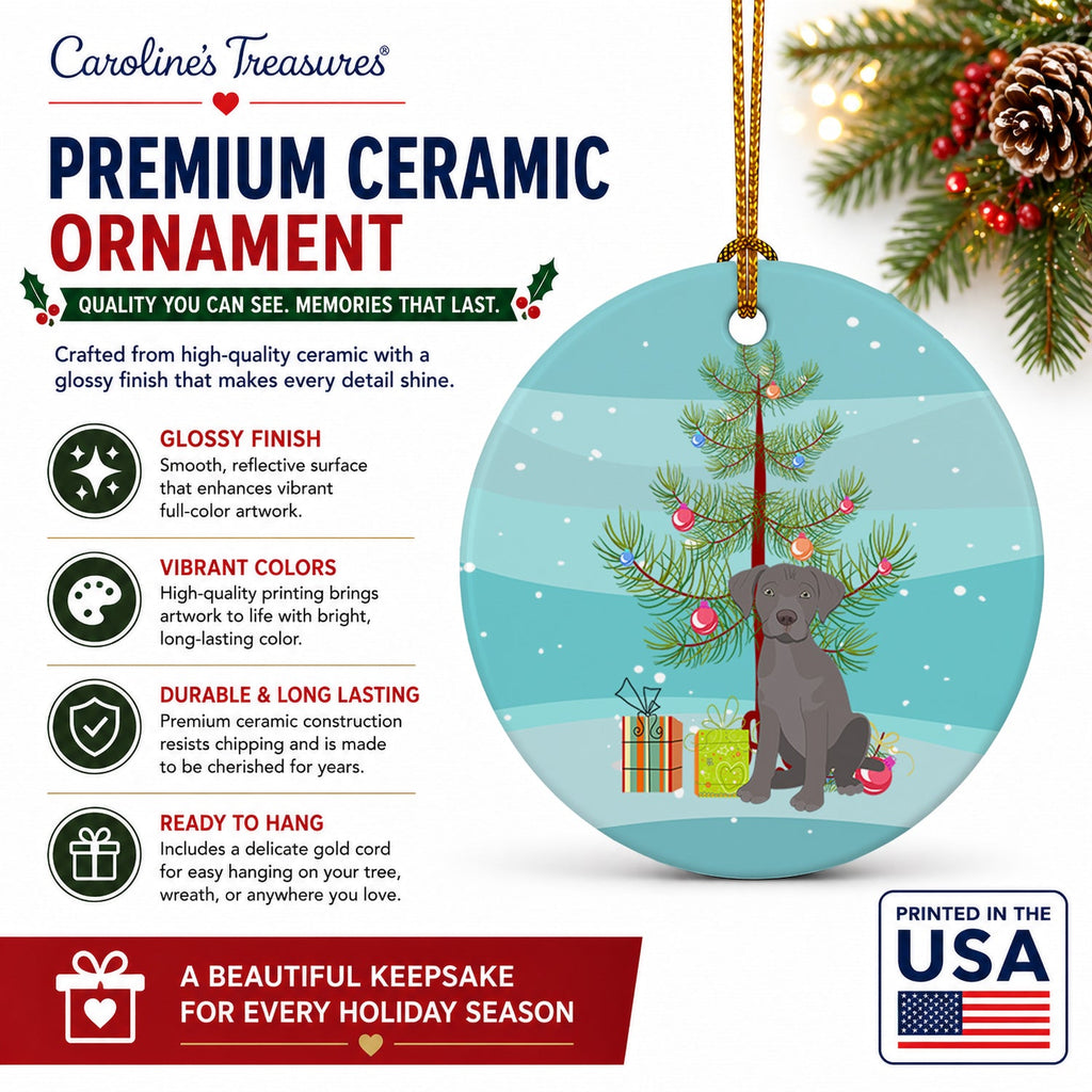 Labrador Retriever Gray Puppy Christmas Ceramic Ornament Christmas Tree Hanging Decorations for Home Christmas Holiday, Party, Gift, 3 in, Multicolor