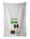 Tricolor Papillon St. Patrick's Day Kitchen Towel Set of 2 White Dish Towels Decorative Bathroom Hand towel for Hand, Face, Hair, Yoga, Tea, Dishcloth, 19 X 28", White