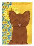 Summer Sunflowers Longhaired Chocolate Chihuahua House Flag 28x40 Porch Sleeve Pole Decorative Outside Yard Banner Artwork Wall Hanging, Polyester