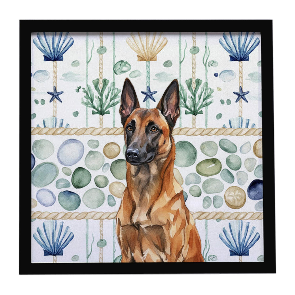 Mahogany Belgian Malinois Coastal Sea Glass Framed Metal Print Bathroom, Kitchen, Office, Home Decor Wall Art Ready to Hang, Square, 8X8