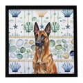 Mahogany Belgian Malinois Coastal Sea Glass Framed Metal Print Bathroom, Kitchen, Office, Home Decor Wall Art Ready to Hang, Square, 8X8