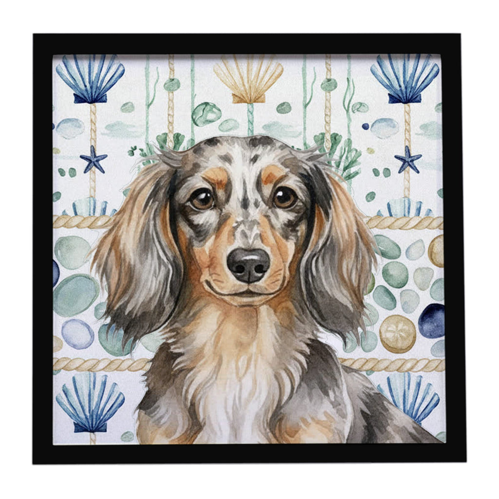Longhaired Dapple Dachshund Coastal Sea Glass Framed Metal Print Bathroom, Kitchen, Office, Home Decor Wall Art Ready to Hang, Square, 8X8