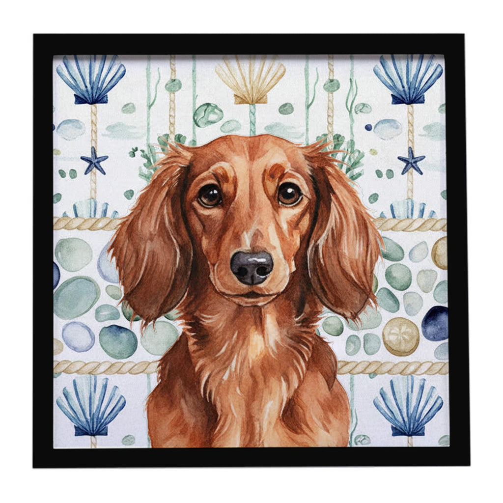 Longhaired Red Dachshund Coastal Sea Glass Framed Metal Print Bathroom, Kitchen, Office, Home Decor Wall Art Ready to Hang, Square, 8X8