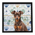 Chocolate and Rust Miniature Pinscher Min Pin Coastal Sea Glass Framed Metal Print Bathroom, Kitchen, Office, Home Decor Wall Art Ready to Hang, Square, 8X8
