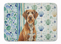 Wirehaired Pointing Griffon Coastal Sea Glass Memory Foam Kitchen Mat Machine Washable Anti-Fatigue Cushion Comfort Bath or Kitchen Rug