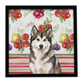 Sable and White Alaskan Malamute Vegetables Framed Metal Print Bathroom, Kitchen, Office, Home Decor Wall Art Ready to Hang, Square, 8X8