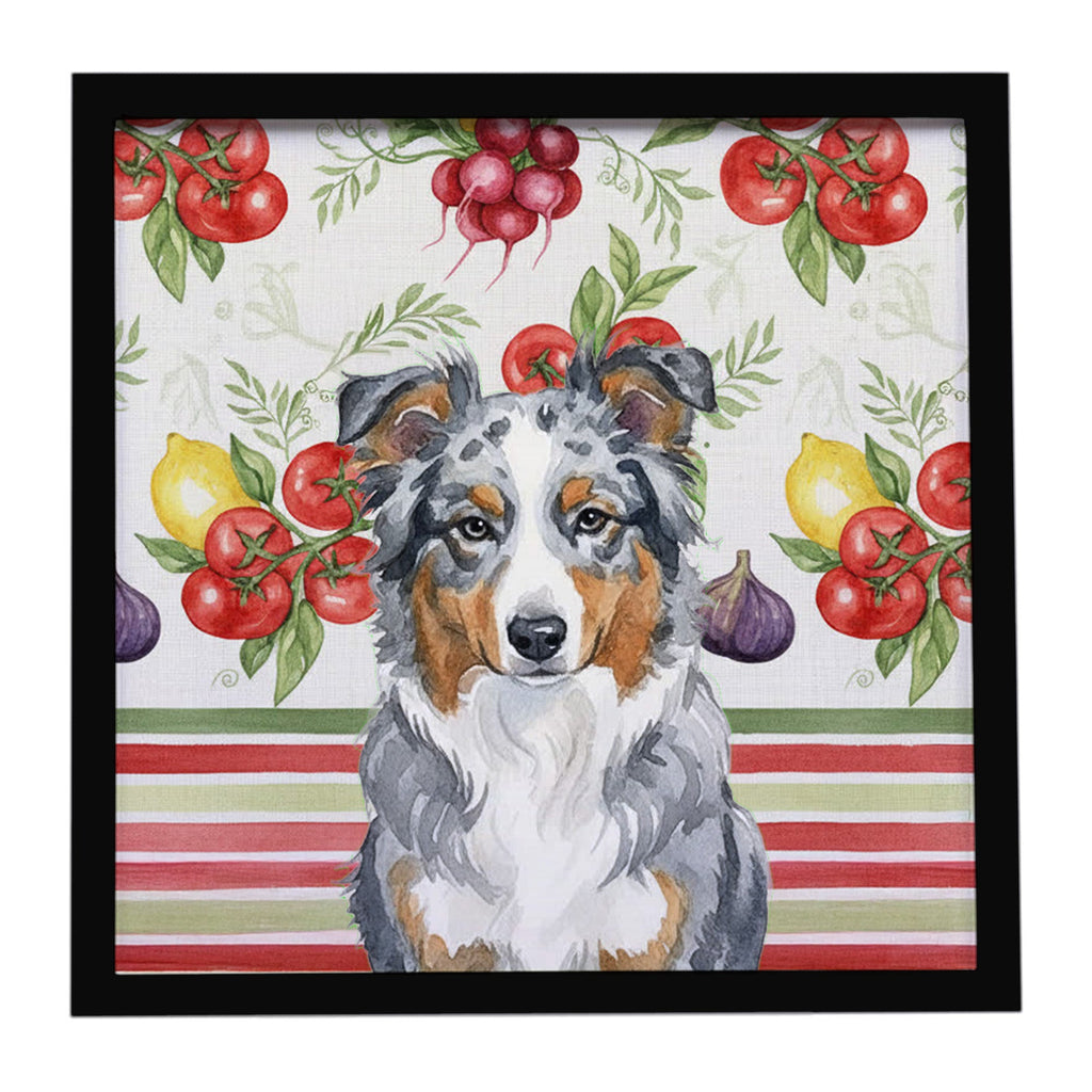 Blue Merle American Shepherd Vegetables Framed Metal Print Bathroom, Kitchen, Office, Home Decor Wall Art Ready to Hang, Square, 8X8