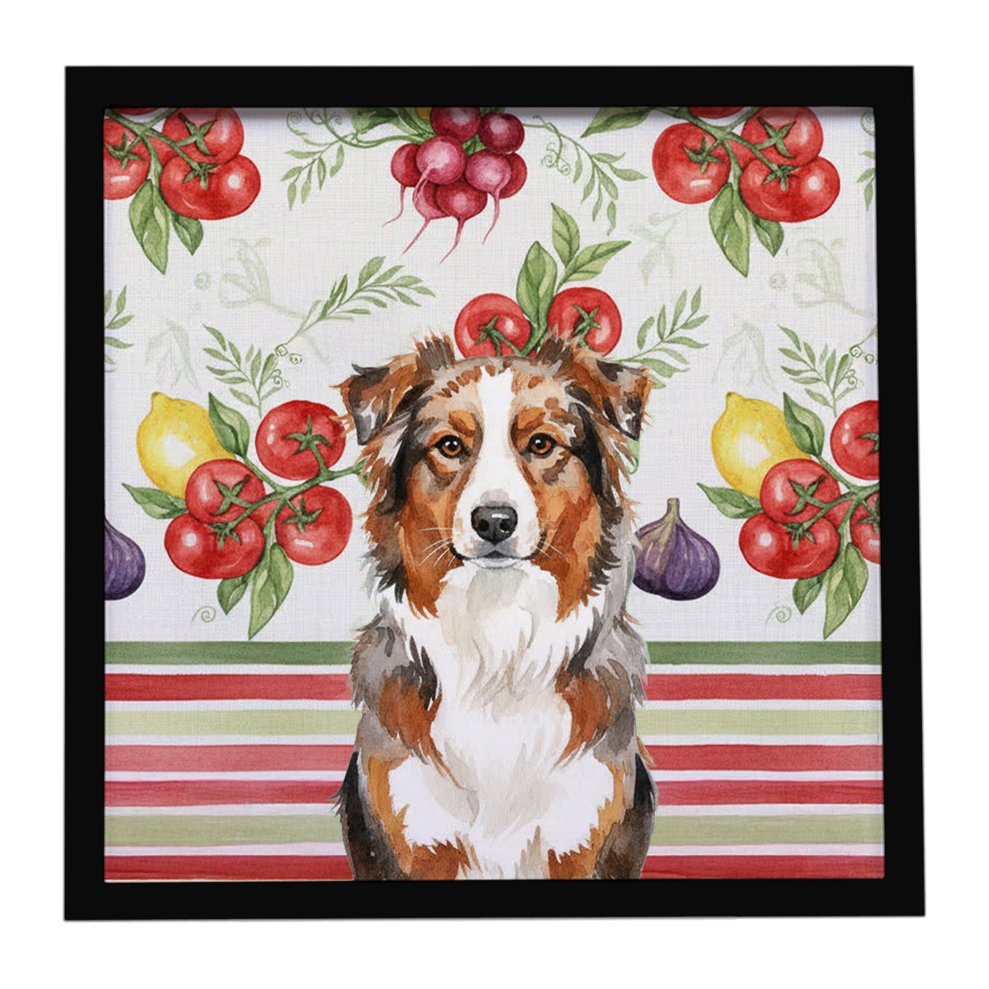 Red Merle Australian Shepherd Vegetables Framed Metal Print Bathroom, Kitchen, Office, Home Decor Wall Art Ready to Hang, Square, 8X8
