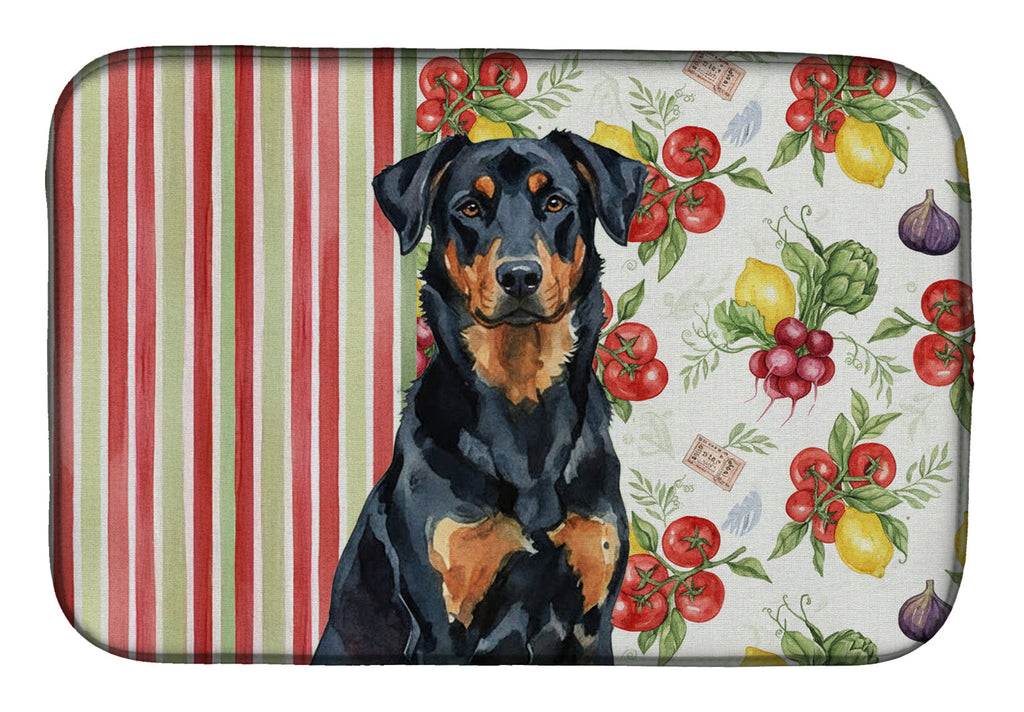 Beauceron Vegetables Dish Drying Mat Absorbent Dish Drying Mat Pad for Kitchen Counter Dish Drainer Mat for Countertop, 14 x 21", Multicolor