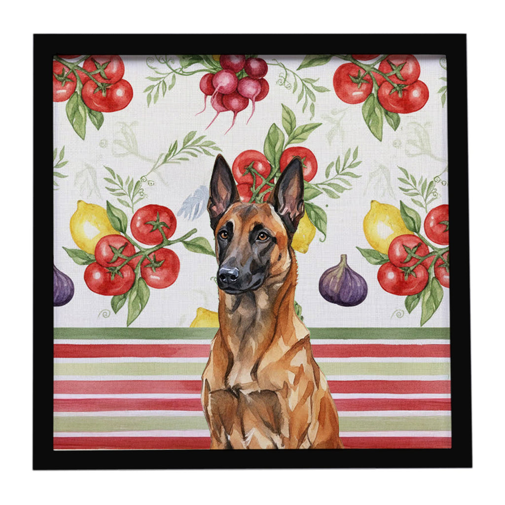 Mahogany Belgian Malinois Vegetables Framed Metal Print Bathroom, Kitchen, Office, Home Decor Wall Art Ready to Hang, Square, 8X8