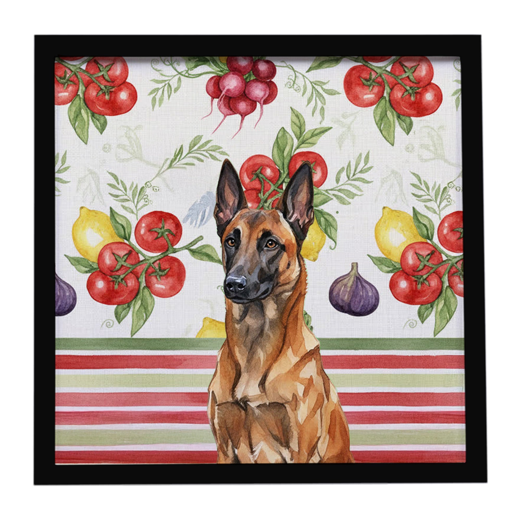 Mahogany Belgian Malinois Vegetables Framed Metal Print Bathroom, Kitchen, Office, Home Decor Wall Art Ready to Hang, Square, 8X8