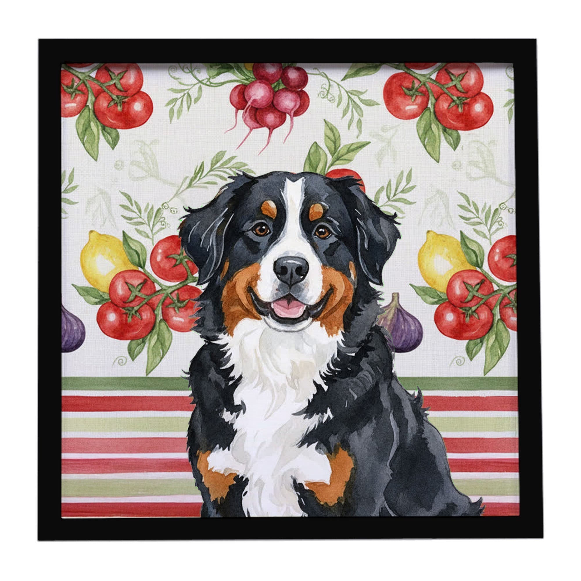 Bernese Mountain Dog Vegetables Framed Metal Print Bathroom, Kitchen, Office, Home Decor Wall Art Ready to Hang, Square, 8X8