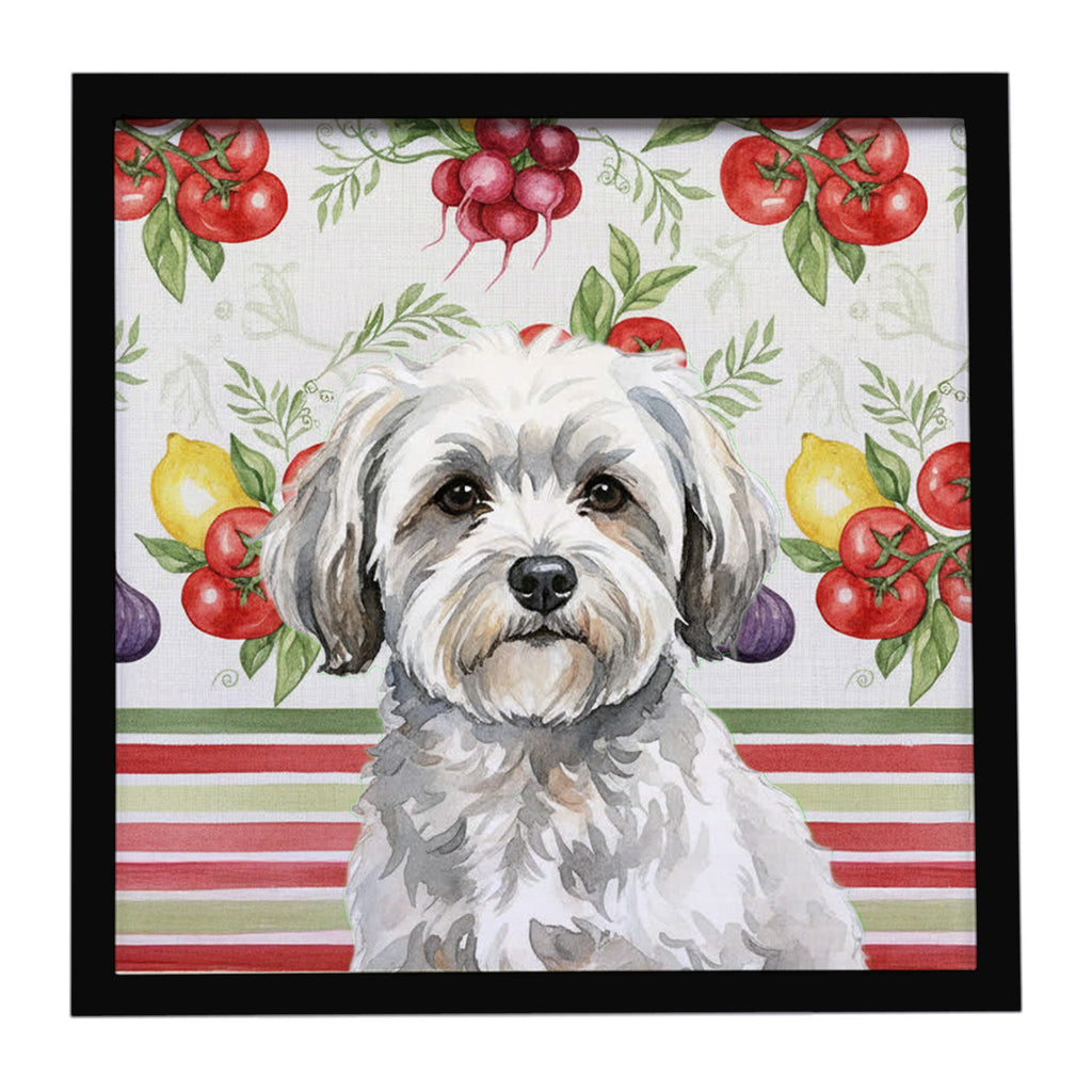 White with Gray Coton de Tulear Vegetables Framed Metal Print Bathroom, Kitchen, Office, Home Decor Wall Art Ready to Hang, Square, 8X8