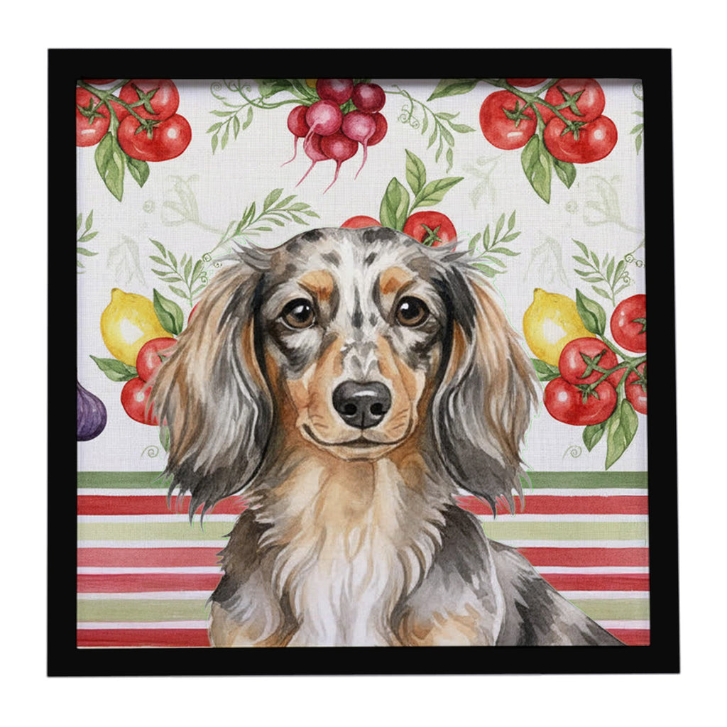 Longhaired Dapple Dachshund Vegetables Framed Metal Print Bathroom, Kitchen, Office, Home Decor Wall Art Ready to Hang, Square, 8X8